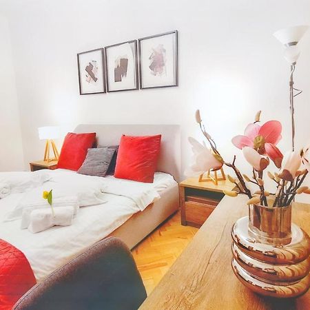 Spacious 5* Luxury In Historic Center Free Parking Kluž Exteriér fotografie