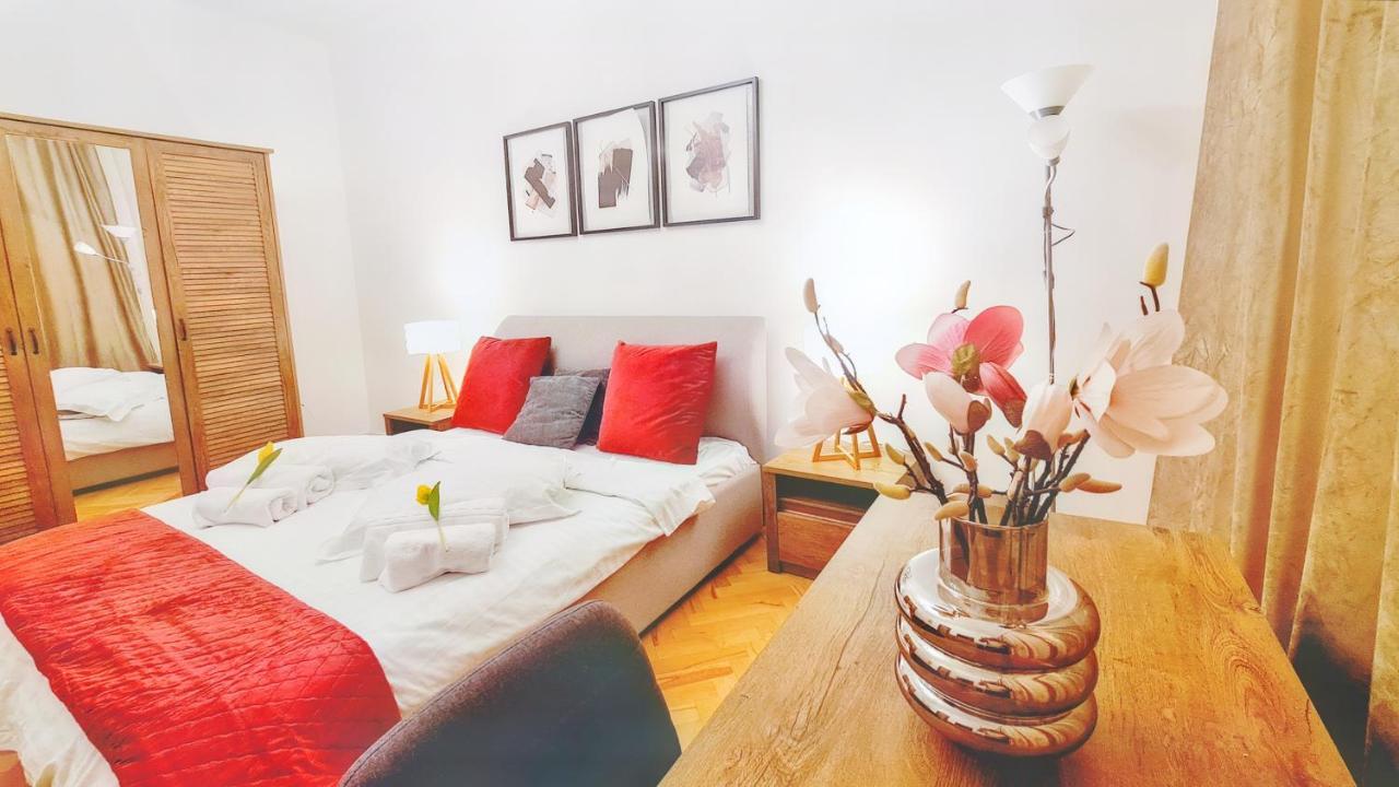 Spacious 5* Luxury In Historic Center Free Parking Kluž Exteriér fotografie